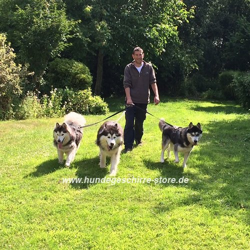 Husky Hunde Geschirre für Hundeauslauf