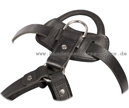 K-9 leather harness soft padded