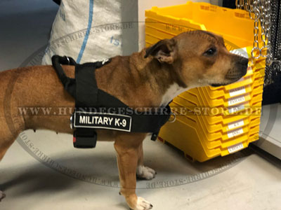 K9 Logo Zuggeschirr für Amerikanischen Staffordshirre Terrier