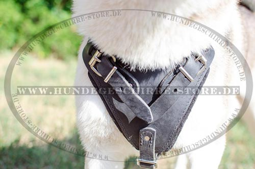 Laika Leder Hundegeschirr