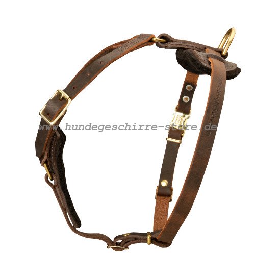 leather harness in brown adjustable