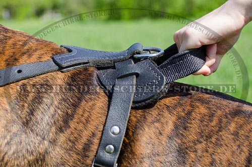 Sportgeschirr hund, Boxer Leder Hundegeschirr