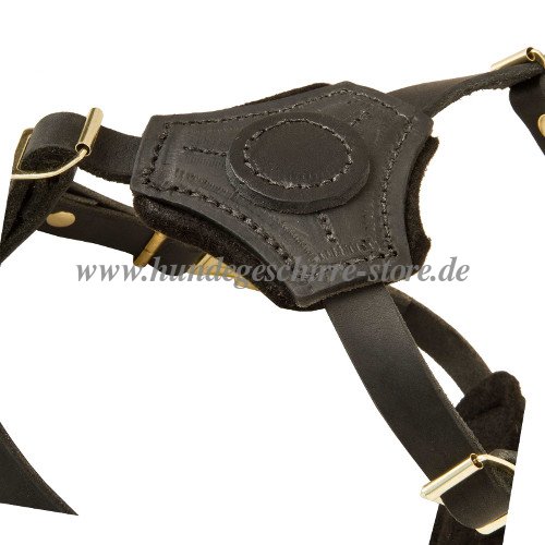 leather harness for little dogs