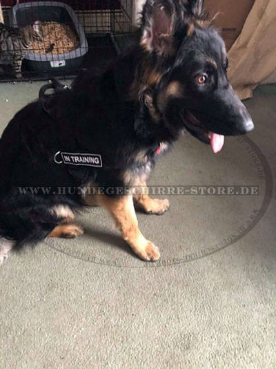 Deutscher Schaeferhund Nylon Geschirr kaufen