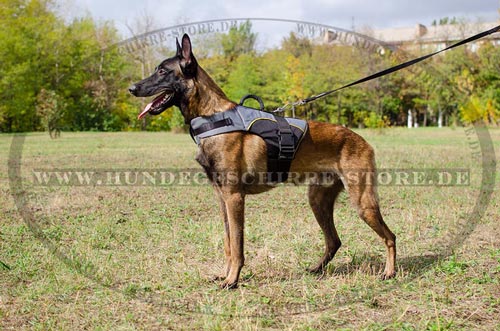 Malinois Hundegeschirr mit warmer Polsterung