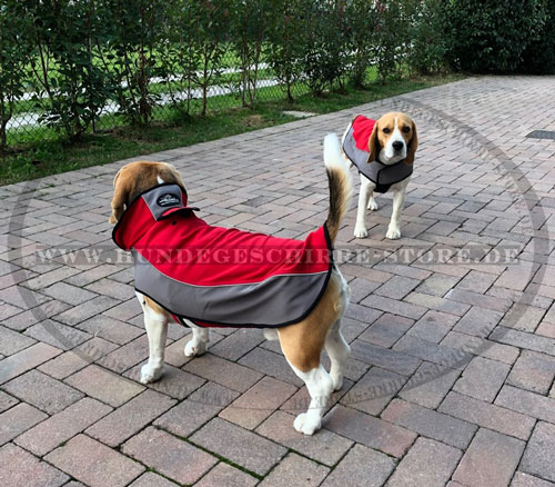 Nylon Mantel für den Hund