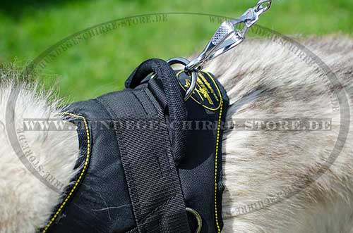  Harness for Husky with Handle