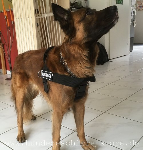 Tervueren Nylon Hundegeschirr mit Logos