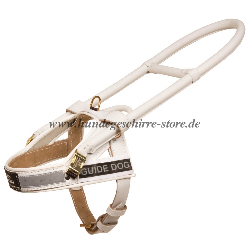 guide dog harness Germany