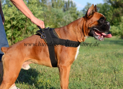 Boxer dog harness k9