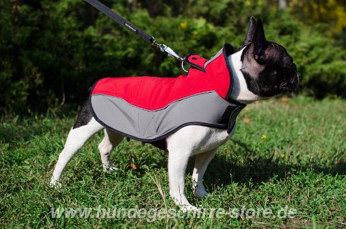 Mantel Bulldogge Winter