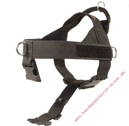 working dog harness