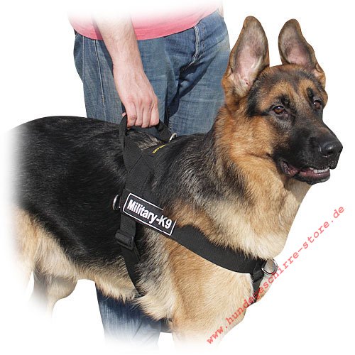 Schutzhund Dog Harness