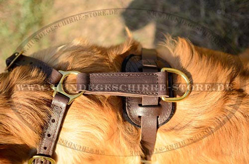 Leder Hundegeschirr, Spitzenquelität