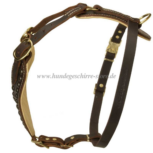 leather harness k9 canine American bulldog