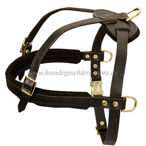  dog harness leather big dogs buy