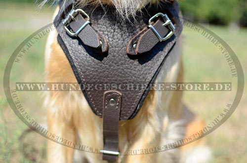 Hundegeschirr aus Leder, verstellbar