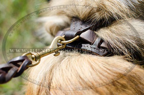 Hundegeschirr aus Leder mit starkem D-Ring