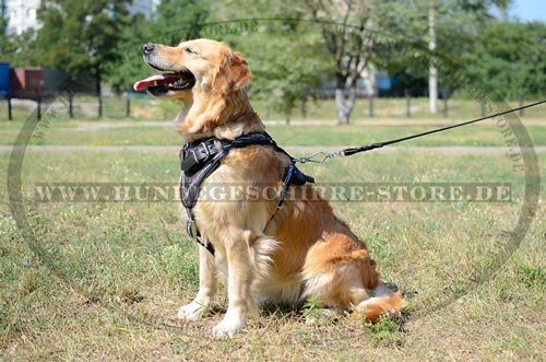 Hundegeschirr aus Leder mit wasserdichter Bemalung