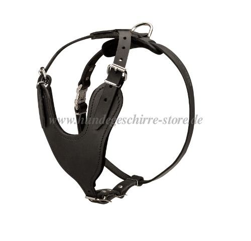 agitation leather dog harness