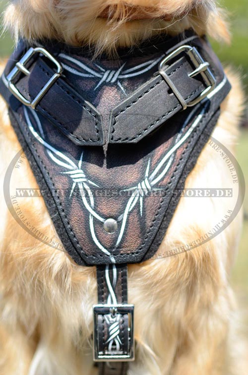 Leder Hundegeschirr in wunderschönem Design