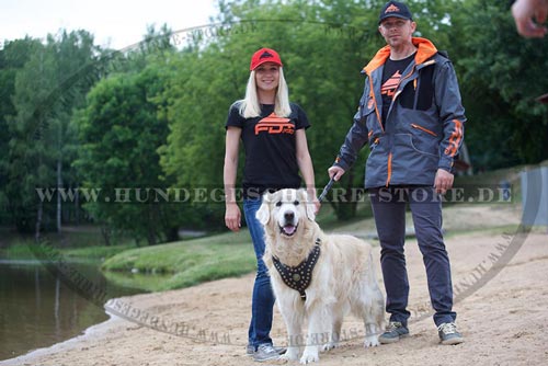 Leder Hundegeschirr, leichte Verstellung