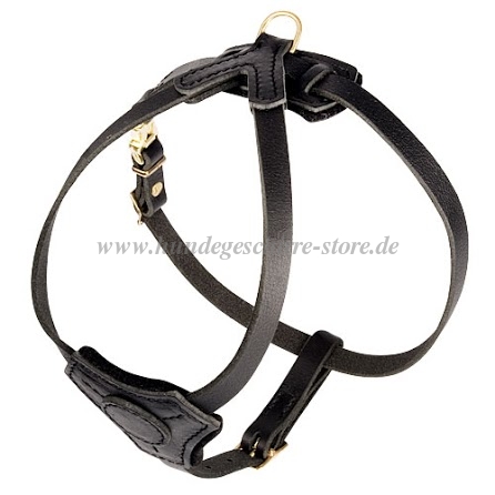 leather dog harness custom made