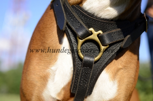 Hundegeschirr aus Leder, robust