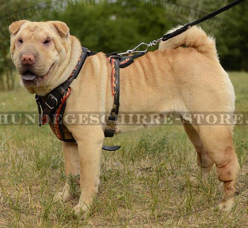 Sharpei Brustgeschirr Gepolstert