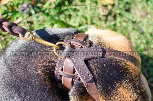 Leder Hundegeschirr, Spitzenqualität