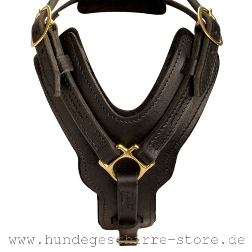 Leder Hundegeschirr in bequemem Design