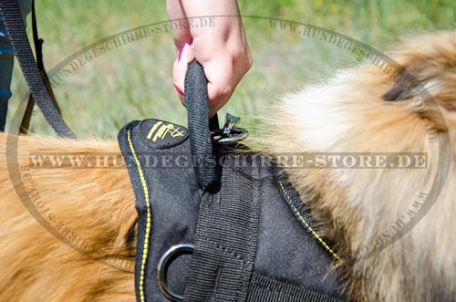 Hundegeschirr Nylon für Sheltie