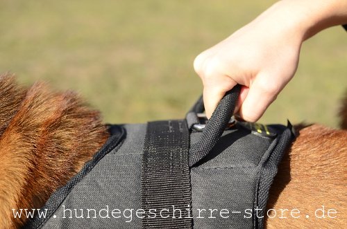 Nylon Hundegeschirr, spitzenqualitativ