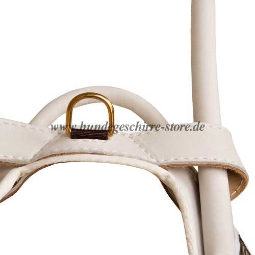 white dog harness