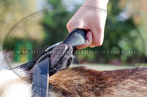 brustgeschirr hund, Laika Leder Hundegeschirr