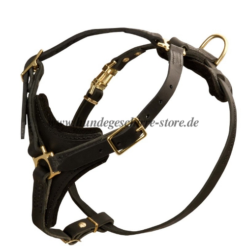 Padded Golden Retriever harness