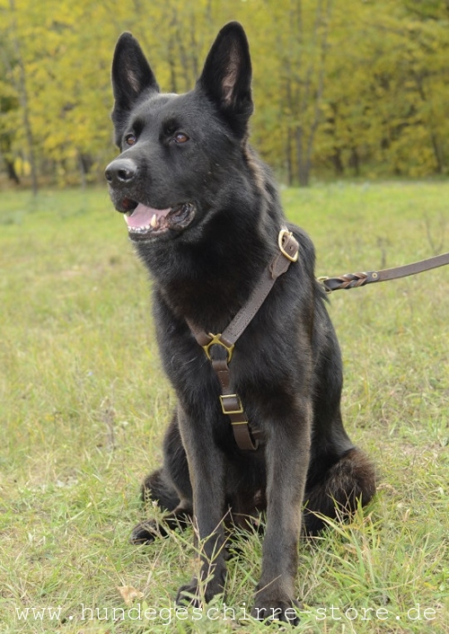  Hundegeschirr Leder, verstellbar