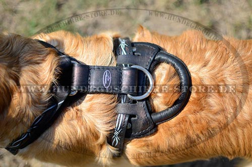 Leder Hundegeschirr mit sicher fixiertem Beschlag