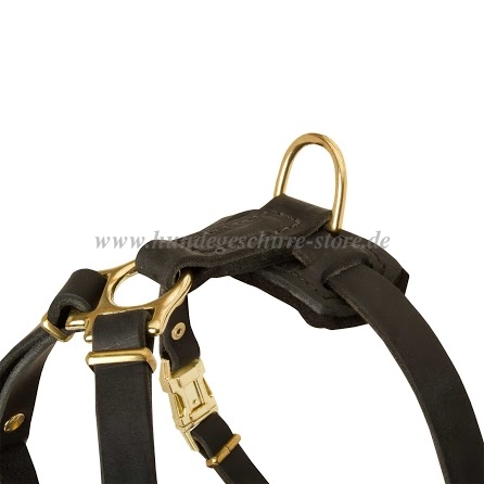 Leather Harness for small
dogs and puppies