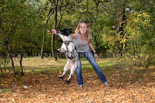 Hundegeschirr aus Leder für Ausläufe