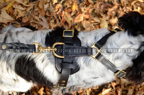  Leder Hundegeschirr mit verschweißtem D-Ring und sicheren Schnallen