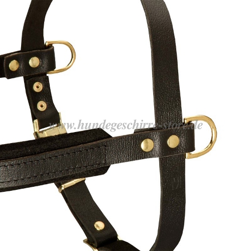 Leather Dog Harness, Pulling Harness