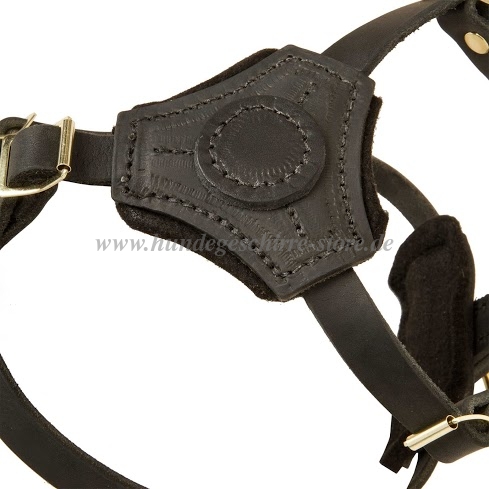 Leather harness for small dogs and
puppies