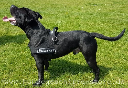 Hundegeschirr aus Nylon mit bequemem Handgriff