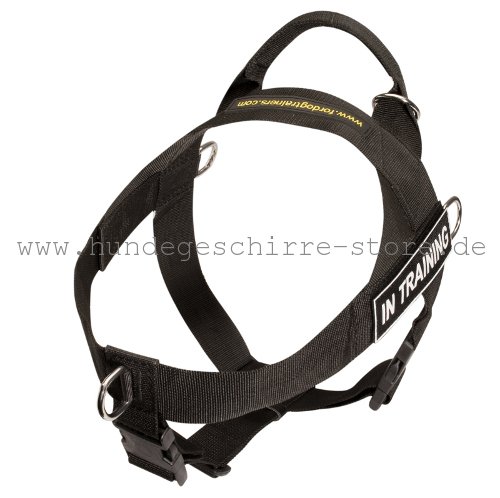 Nylon Hundegeschirr, qualitativ