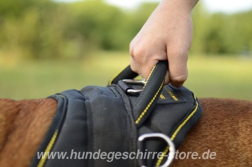 hunde sportgeschirr Bulldogge