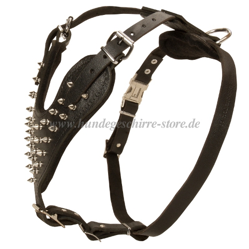 Spike
Leather harness dog Ridgeback