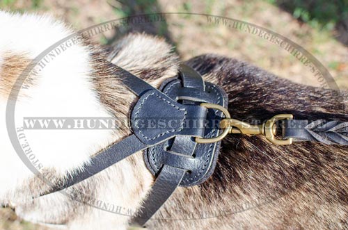 Pulling harness dog, Dog leather dog harness