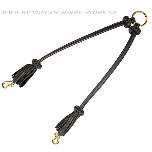 Leather coupler for walks