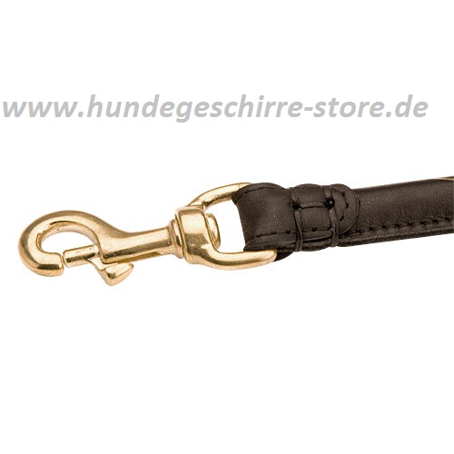 Coupler leash for training